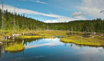 Lac au Parc National du Saguenay, Québec