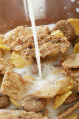 Corn flakes