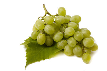 Green grape