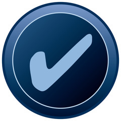 OK Icon in Blue
