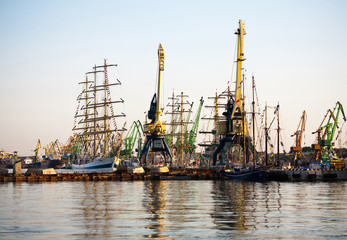 Tall ships in port