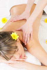 Obraz na płótnie Canvas Wellness Massage