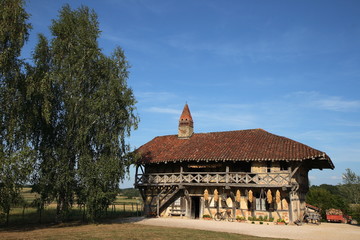 La ferme bressane de la forêt à Courtes