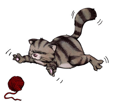 Katze, Kater, spielen, raufen, springen