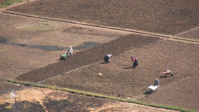 Agricultura