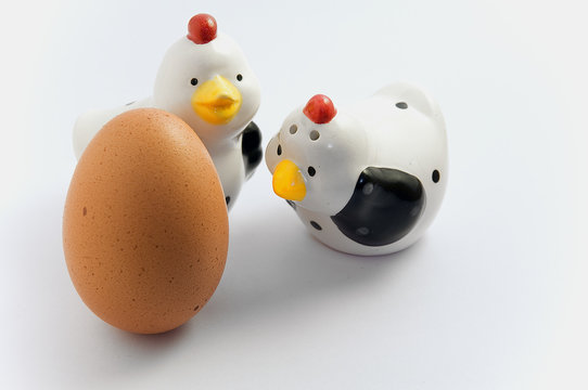 Galline e uovo &copy;2009 GecoPhotography