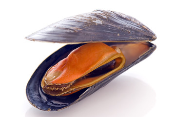 Miesmuscheln © HLPhoto