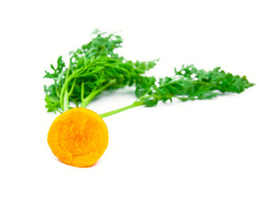 Bit of a bright young carrot on a white background