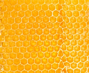 yellow honeycomb