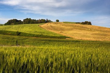 Fototapeta premium Hay bales on rural landscape