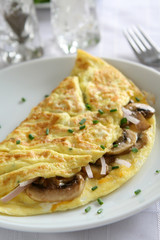 Mushroom Omelette