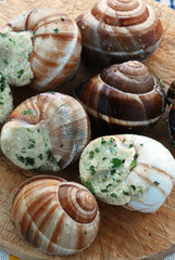 Lumache in umido alle erbe - Secondi di carne Lombardia