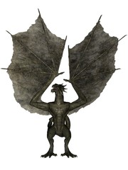 Fototapeta premium Standing wyvern