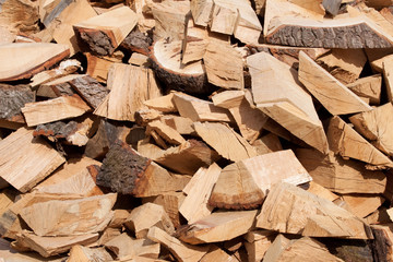 Wood Pile