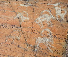 The ancient drawings on rocks Altai