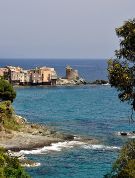 erbalunga