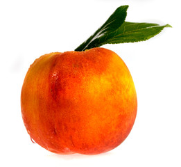 ripe peach