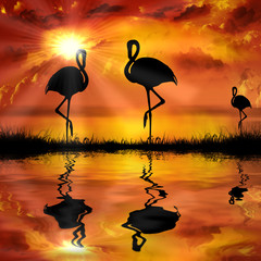Naklejka premium flamingo on a beautiful sunset background