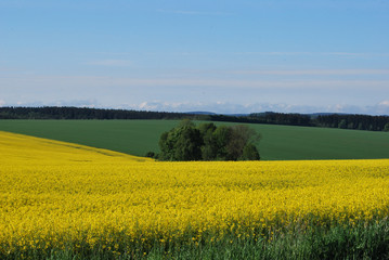 Felder und Wiesen