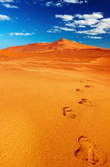 Namib Desert