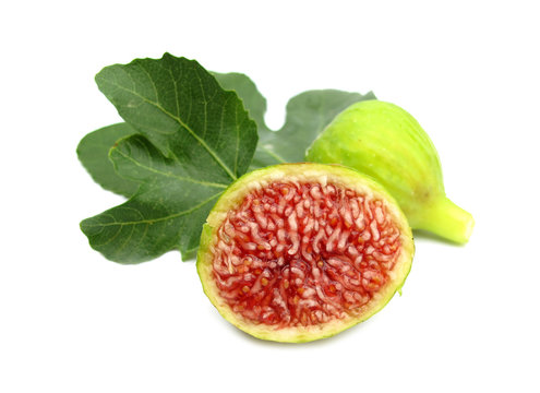 Fig ripe with leaves