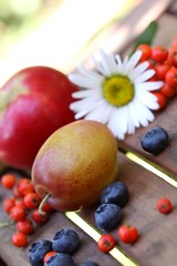 sommer obst mit kamille