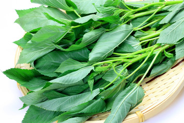 molokheiya