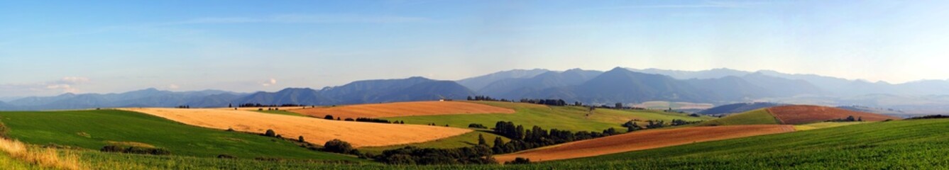 Naklejka premium Panorama of meadows and fields in evening