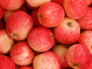 Fruit apples red