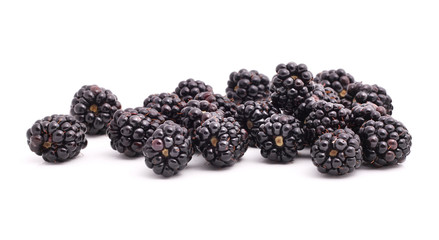 Blackberries on white