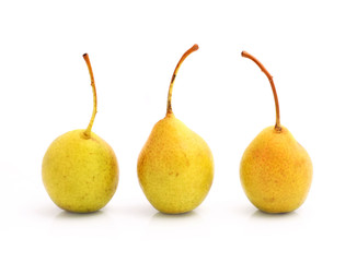 Cultivated pears on white