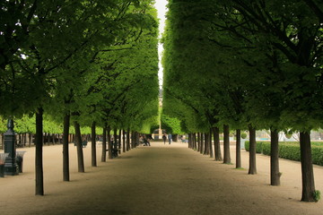 Palais Royal, Paris