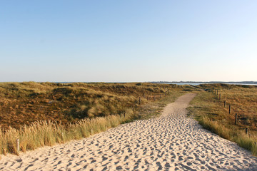 Dünenlandschaft