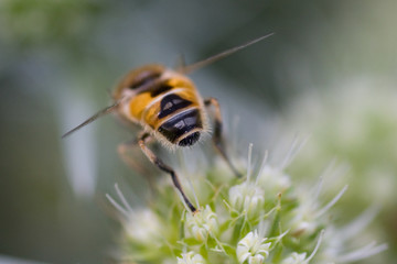 Abflug