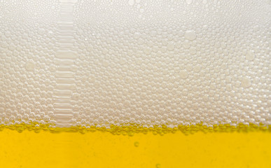 beer bubbles
