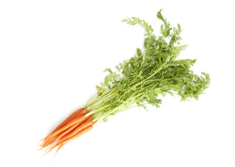 young fresh bunch of carrots