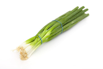 fresh green bunch of onion