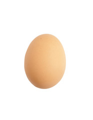 organic egg isolated