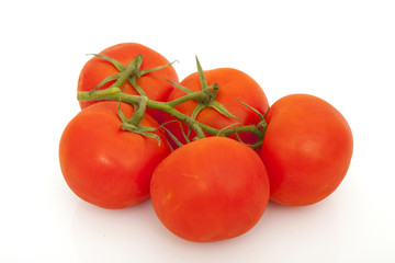 red tasty tomatoes on a vine