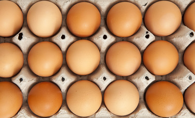 top view of organic eggs