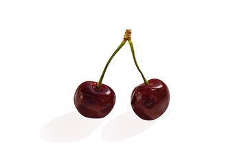 Two sweet cherries isolated over white with clipping path.