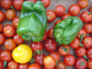tomate