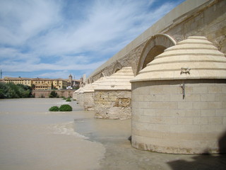 Pont arabe Cordoba