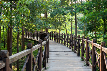 Wooden bridge