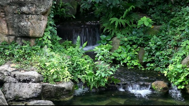 Waterfall and greenery