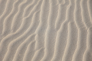 Fototapeta na wymiar Muster Sandlinien