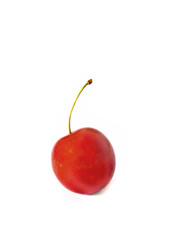 small red plum