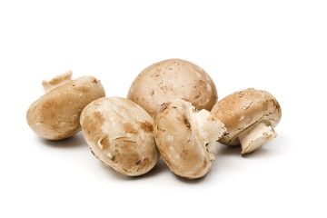 fünf braune champignons isoliert