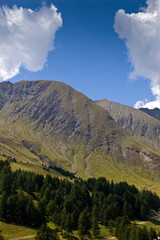 alpages dans le val d'allos