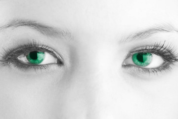 Obraz premium Grüne Augen